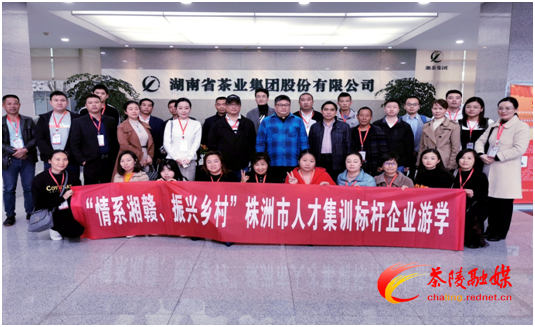 株洲市人才集训暨直播带货大赛即将在茶陵盛大开启