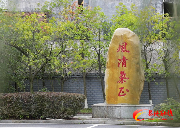 【一线干警风采录】雷桂卉：坚守初心勇担使命，守护正义为民服务