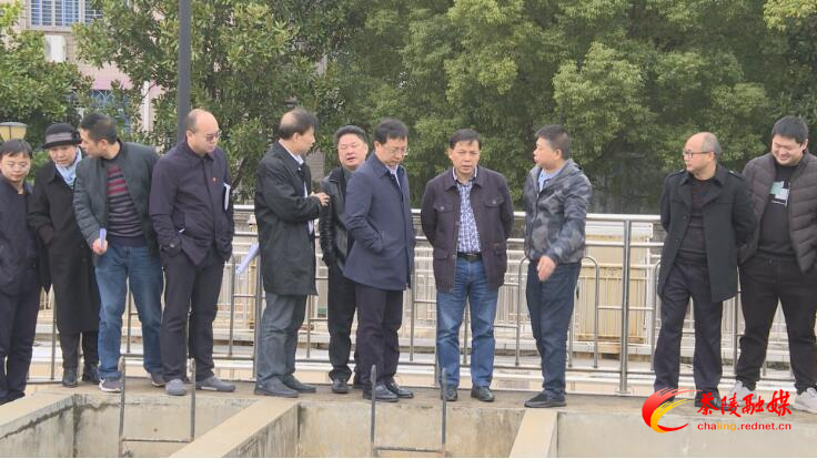 株洲市人大代表第三小组在茶陵县开展视察活动