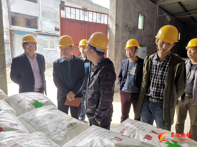 茶陵县龙下局开展企业安全生产大检查