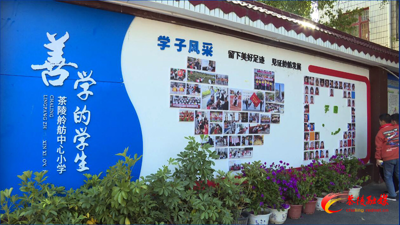 重塑茶陵教育荣光｜舲舫中心小学:让乡村孩子享受城市般的优质教育