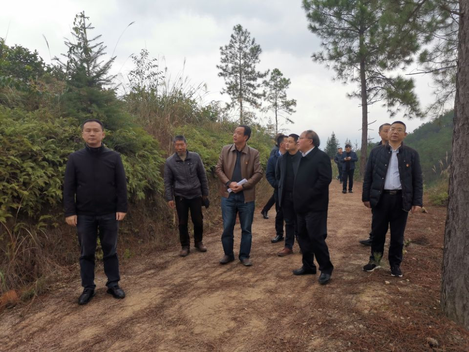 常务副市长何剑波赴茶陵县秩堂镇皇图村开展联点帮扶