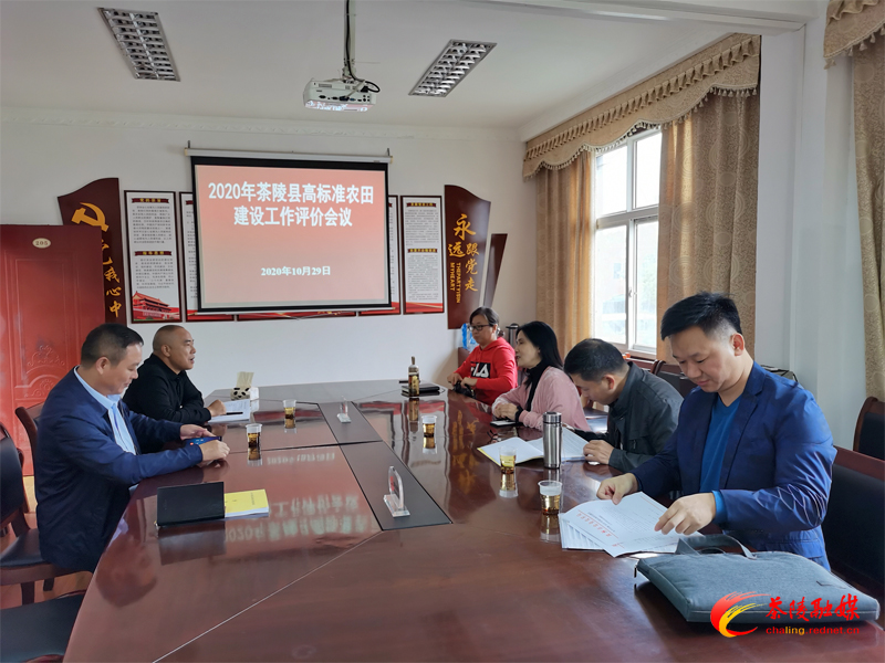 茶陵：全力以赴推进高标准农田建设
