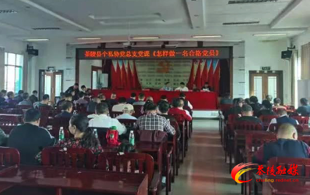 茶陵县个私协会党员集中上“党课”