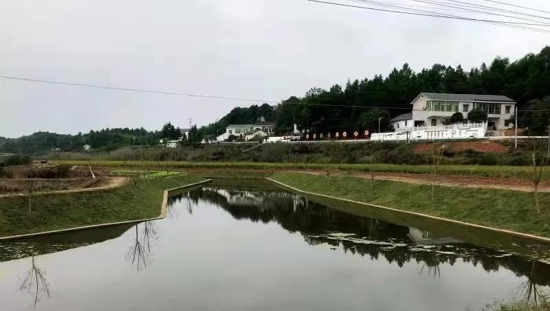 细“治”入“微”谋幸福！ 我区乡镇样板河建设显成效