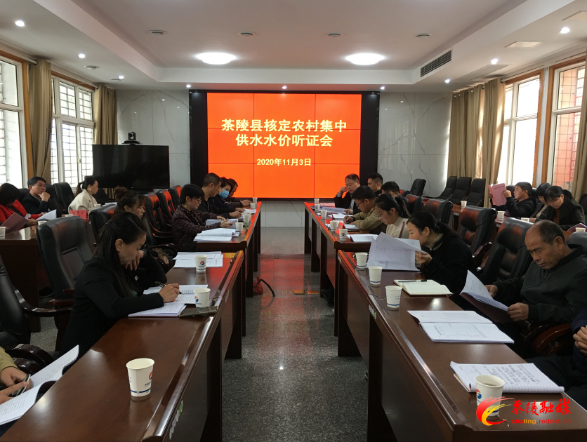 茶陵县核定农村集中供水水价听证会召开