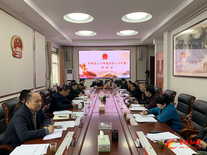 县人大召集部分县人大代表开展座谈