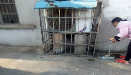 宋家桥街道开展农村房前屋后卫生整治行动