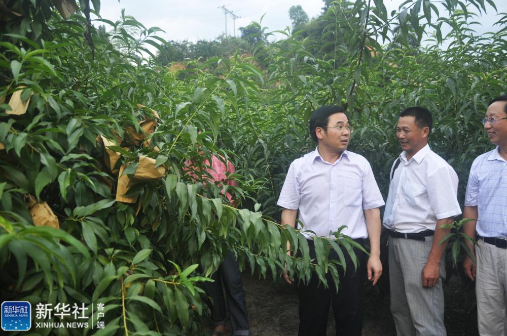 【新华社】他对群众好 群众跟他亲——追记献身罗霄山区脱贫攻坚事业的湖南炎陵县委原书记黄诗燕