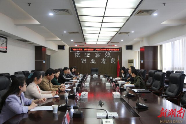 芦淞区召开2020年度科技专家座谈会