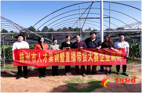 株洲市人才集训暨直播带货大赛即将在茶陵盛大开启