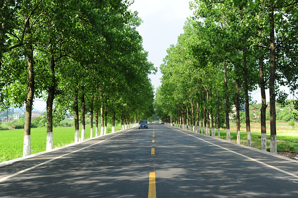 茶陵县国省干线公路顺利通过国检