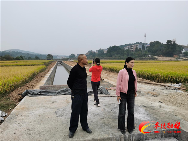 茶陵：全力以赴推进高标准农田建设