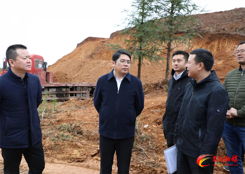 茶陵县生猪产业链建设现场办公会召开