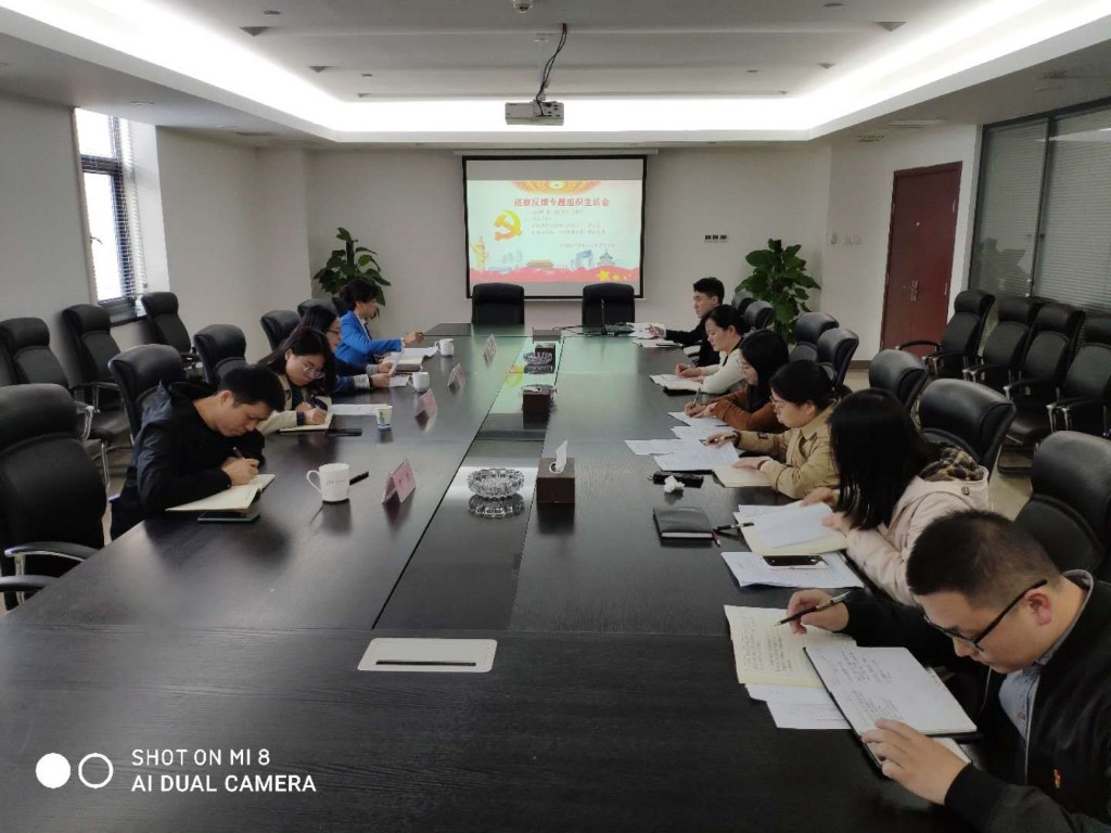 区行政审批服务局召开巡察反馈问题专题组织生活会