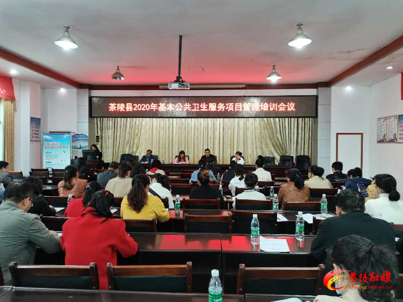 茶陵县卫健局组织基本公共卫生慢病项目业务培训