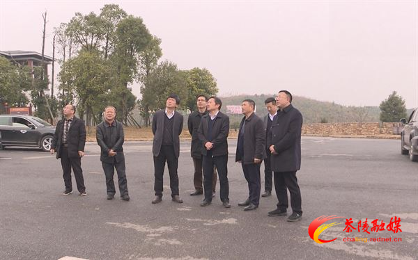 省林业局副局长李林山来茶督查林业重点工作