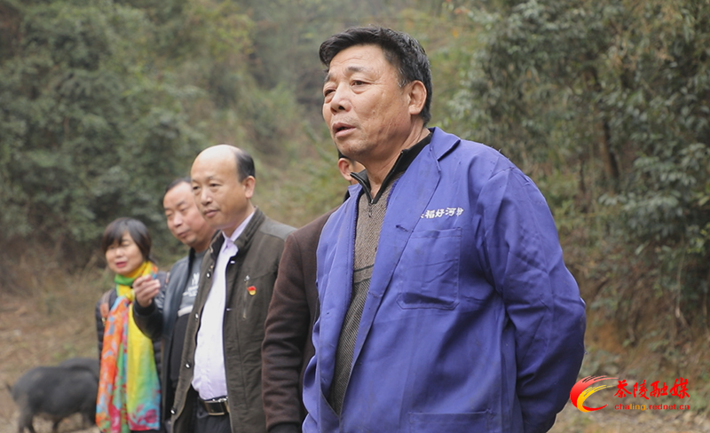 秩堂镇合户村:林下新经济 致富好产业