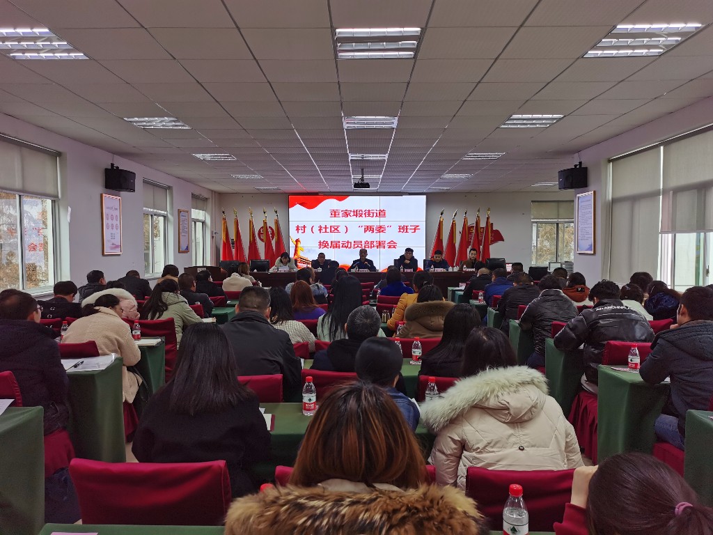 董家塅街道召开村（社区）“两委” 换届选举动员部署会