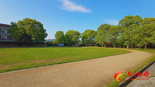 重塑茶陵教育荣光｜湖口中学：凝心聚力打造乡村教育新高地