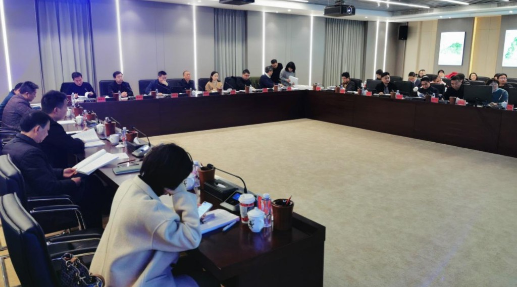 株洲市国土空间总体规划（2020-2035年）大纲开展专家咨询及部门联席审查