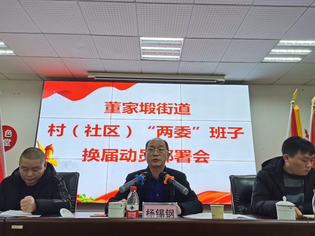 董家塅街道召开村（社区）“两委” 换届选举动员部署会