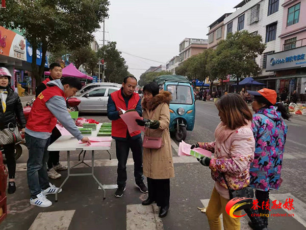 界首镇开展毒蘑菇防控专项宣传活动