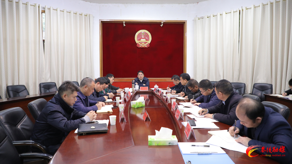茶陵县工农兵政府旧址、严塘镇湾里红军村等红色景点建设推进会召开