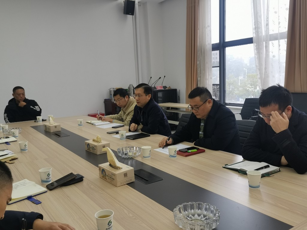 荷塘区金塘村藕塘组滑坡治理工程正式启动