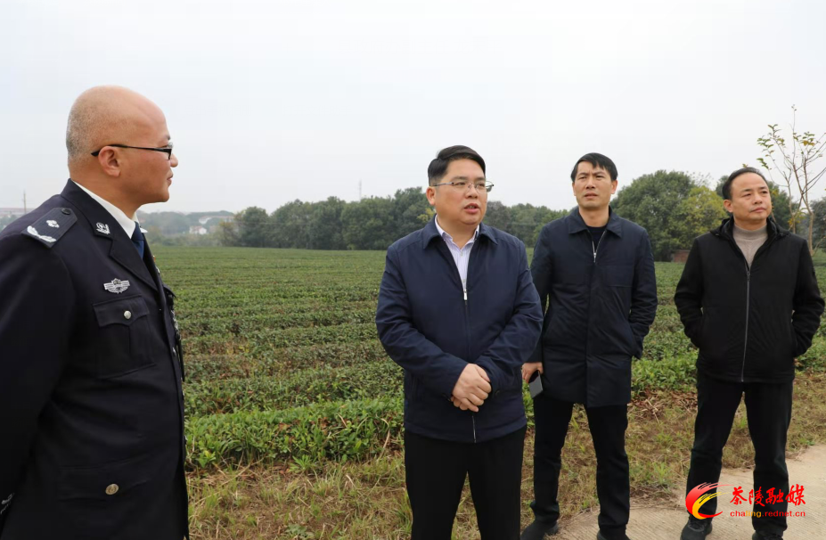 邓元连深入洣江茶场调研指导工作