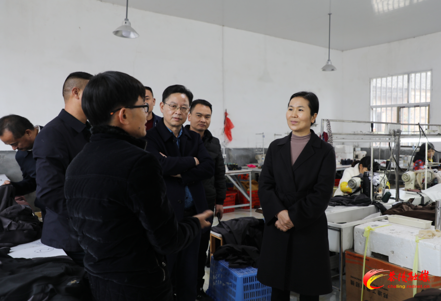 江小忠深入严塘镇督查指导工作
