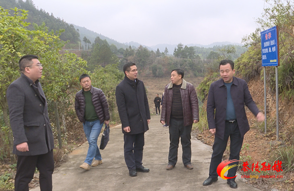 武挪强深入桃坑乡调研指导工作