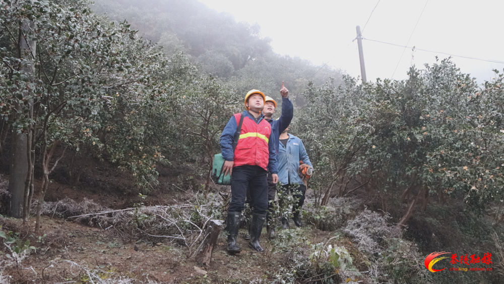 迎峰度冬 电力部门多措并举保供电