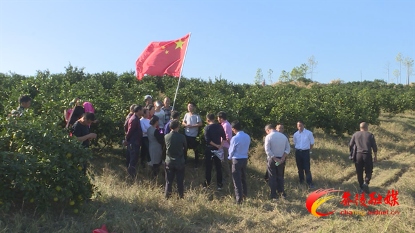 【茶陵好人】周建军:探路特色种植 护航扶贫产业