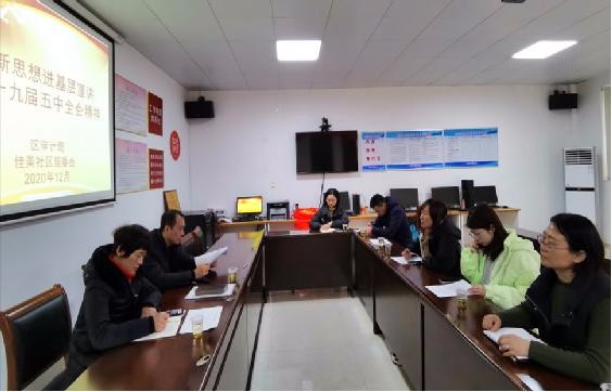 天元区审计局进社区宣讲十九届五中全会精神
