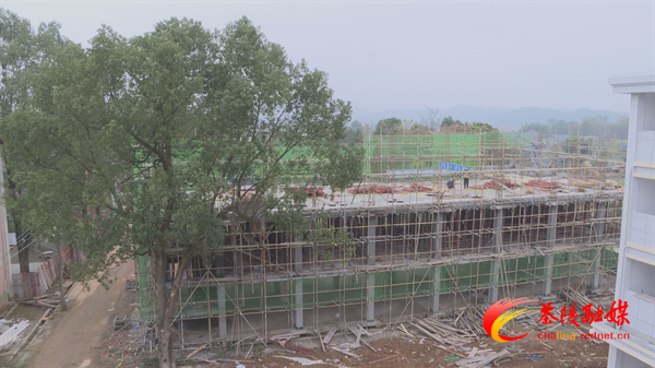 重塑茶陵教育荣光｜湖口中学：凝心聚力打造乡村教育新高地