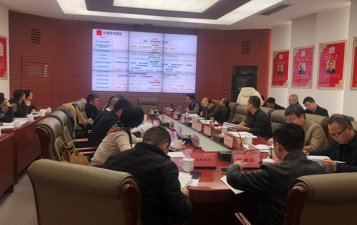 攸县召开国土空间总体规划大纲专家咨询会