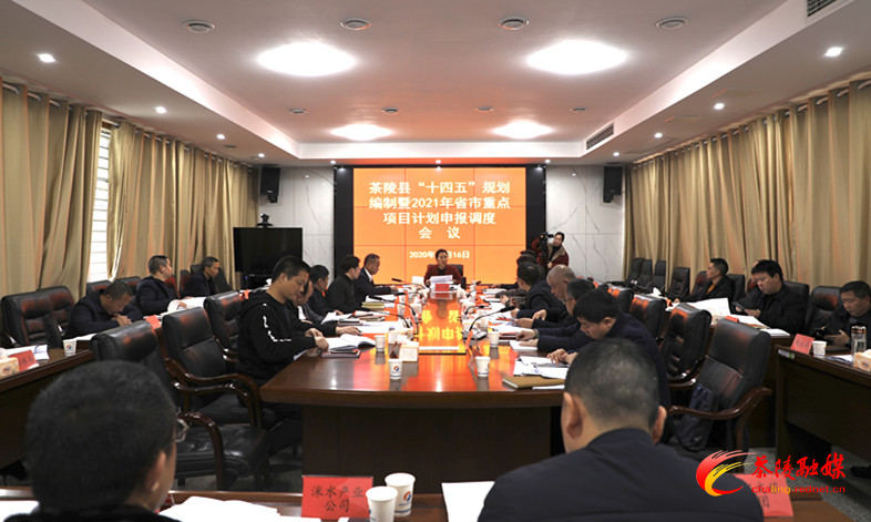 茶陵县“十四五”规划编制暨2021年省市重点项目计划申报调度会召开