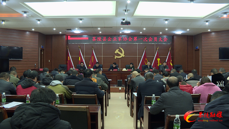 茶陵县企业家协会成立