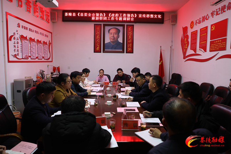 茶陵县宣传思想文化旅游群团工作专题调研会召开
