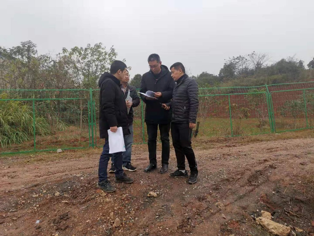 荷塘区两个矿山生态修复治理项目顺利通过市级验收