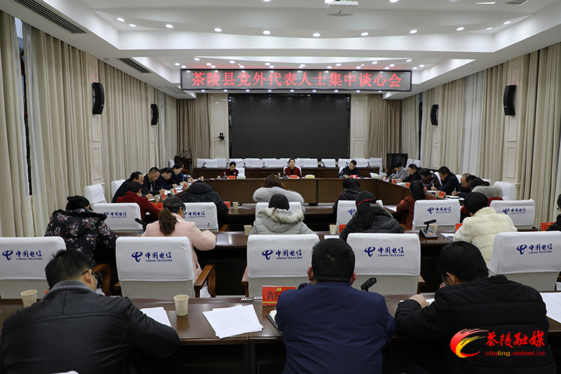 茶陵县召开党外代表人士集中谈心会
