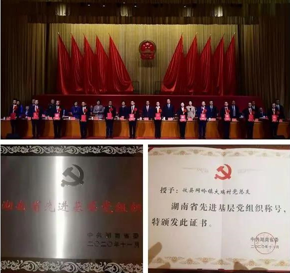 攸县抗疫先进个人和集体获表彰！