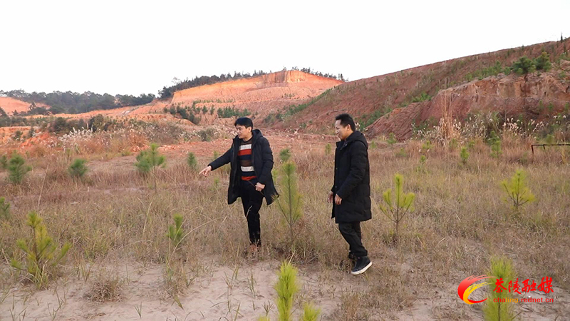 界首镇：砂厂覆绿 守护青山绿水
