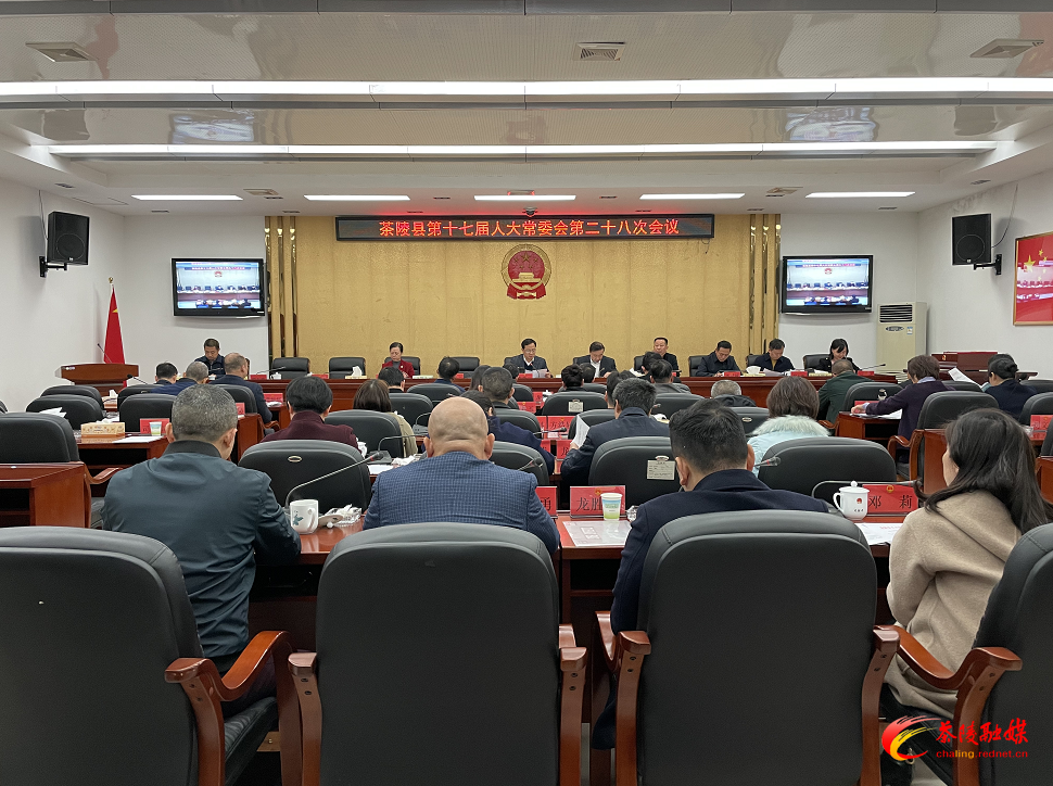 茶陵县第十七届人大常委会第二十八次会议召开