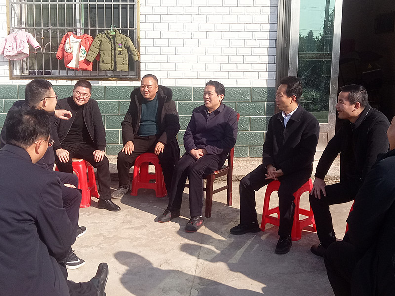 康月林在网岭镇调研指导村（社区）换届工作