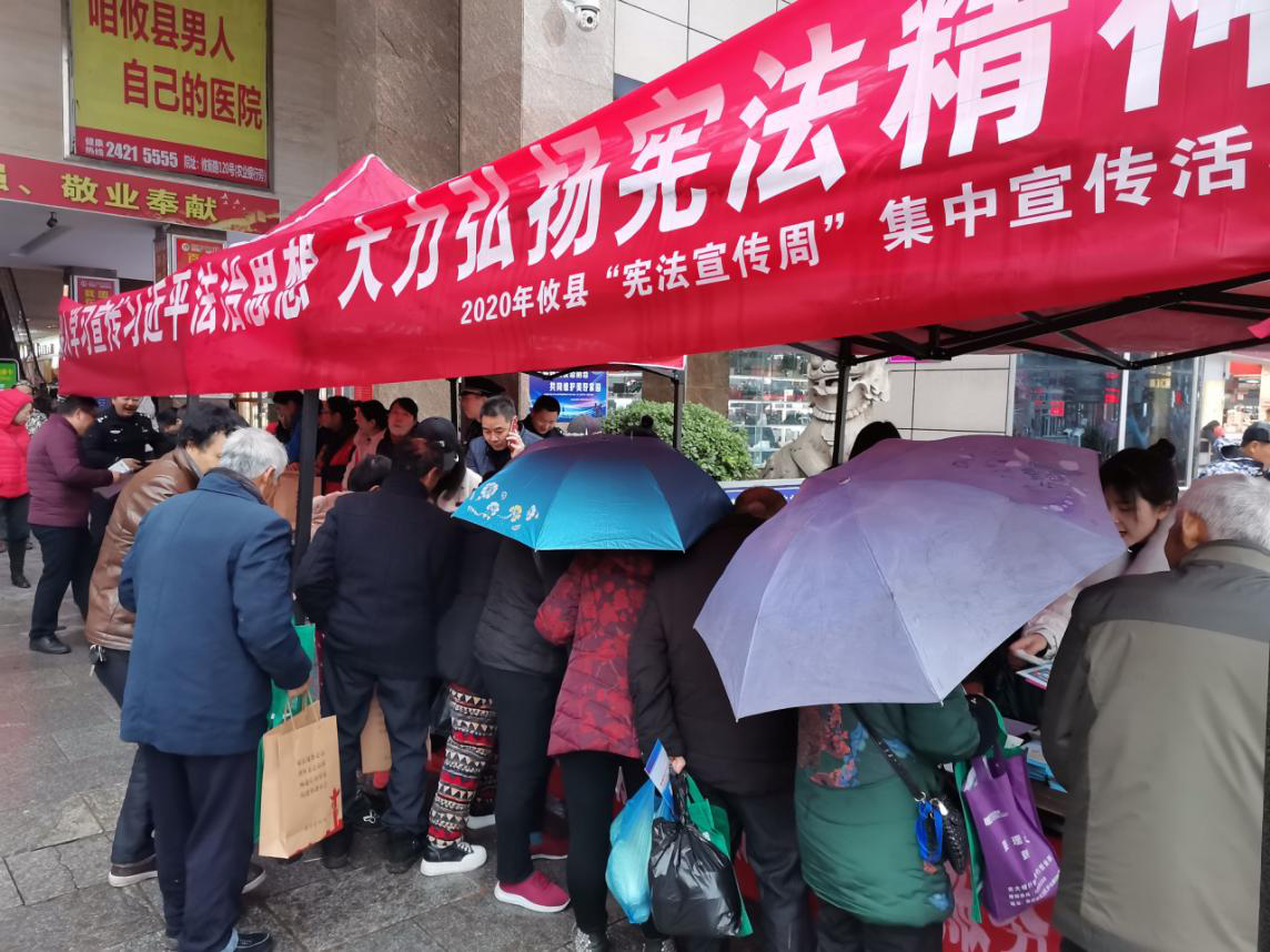 攸县司法局牵头组织开展全国第七个国家宪法日宣传活动