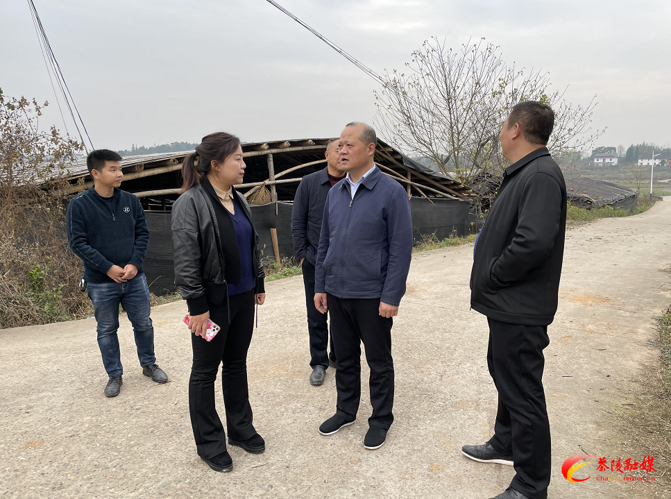 农口系统到界首镇督查高标准农田建设及低温雨雪天气应对工作