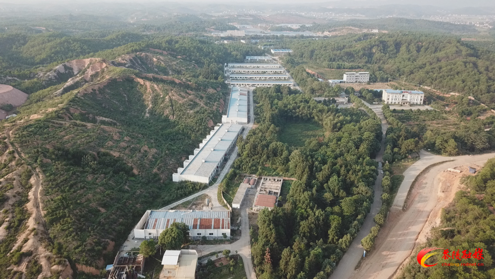 认真学习贯彻中央农村工作会议精神 高质量推动生猪稳产保供和非洲猪瘟防控工作