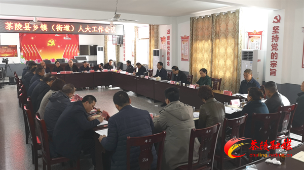 茶陵县乡镇（街道）人大工作会议召开